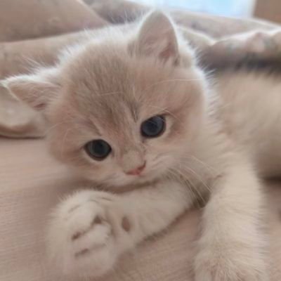 ouo_only1's profile picture