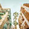عاشق الرخا والشدة 🇸🇦 的头像