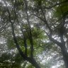 Фото профиля y s