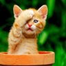 Profilbild von jkitty