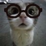 Profilbild von しゃかぼうし