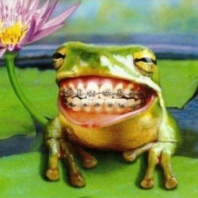 bobonilson's profile picture