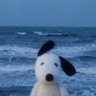 Profilbild von Clay's