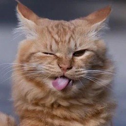 kirbysfunpak__'s profile picture