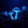 Фото профиля PEWEW