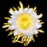 Profilbild von lay
