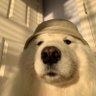xunle's profile picture