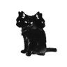 Hotmess's profile picture