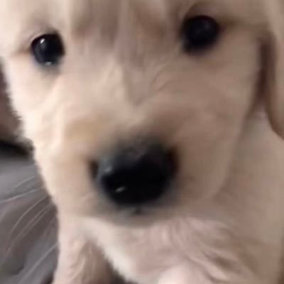 mary's profile picture