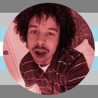 hushtheseus's profile picture
