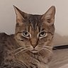 Profilbild von Carlos