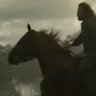 Profilbild von Berek of Númenor, Isildur’s Horse 💍