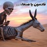 alamarisamo's profile picture
