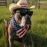 Backwoods Patriot's profile picture