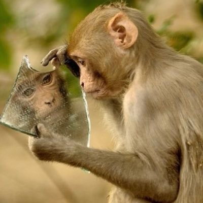 perfumegenius's profile picture