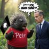 Profilbild von Porcupine Pete 🏴☠️