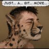 Lyko Roo's profile picture