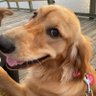Dave M profil fotoğrafı
