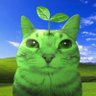 novax profil fotoğrafı