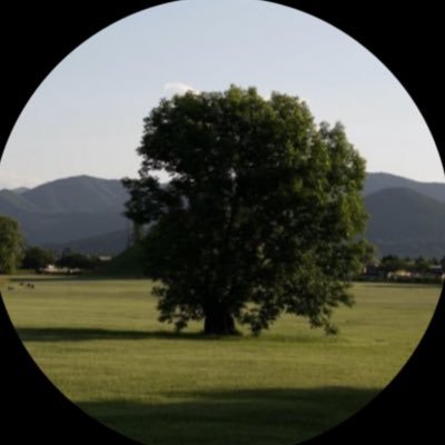 1neviil's profile picture