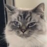 sandra profil fotoğrafı