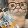 さいくる / cycle profil fotoğrafı