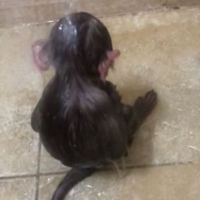 ehjovan's profile picture