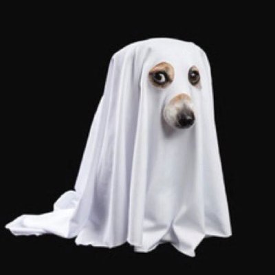 magas$'s profile picture