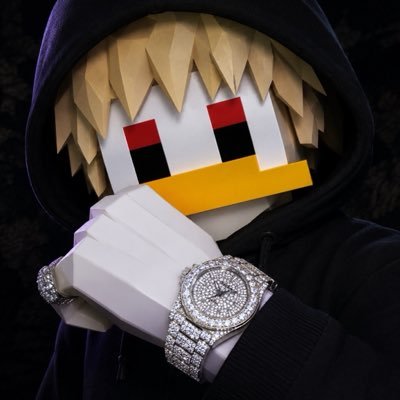 808_goose's profile picture