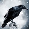 Profilbild von Renatus R