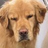 Profilbild von noa