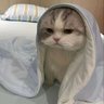 | ლสกายლ | 的头像