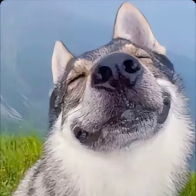 YaoYy0111's profile picture