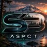 Фото профиля SB Aspects