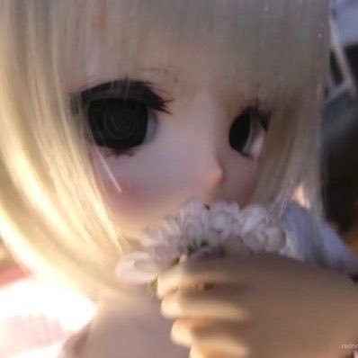 kaerotic's profile picture