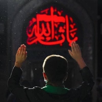 سید علیރ's profile picture