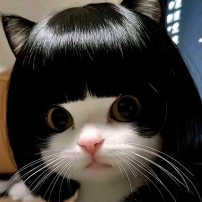 xwy1376033's profile picture