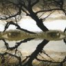 Reflexion's profile picture