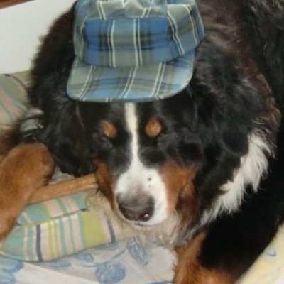 brrrr b's profile picture