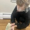 jjhenus 𝞧's profile picture