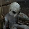 Xenomorfo Tupiniquim 🇧🇷's profile picture
