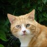 Profilbild von Pamela New iPad 2020