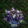 かえらかえら profil fotoğrafı