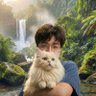 北辰溯兴|conrad's profile picture