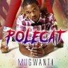 Profilbild von Polecat-Mugwanti