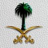 Фото профиля Eng.Mohammed Alfaifi