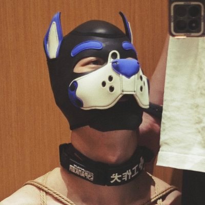 bluedog_sm's profile picture