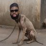 İfebezeke's profile picture