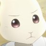 Profilbild von C