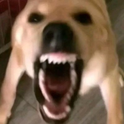 Alex's profile picture